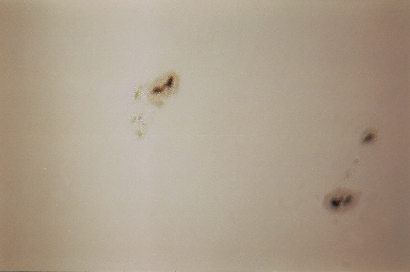 Sonne2 27.06.00.jpg
